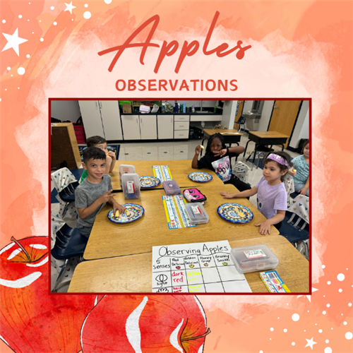 Apples